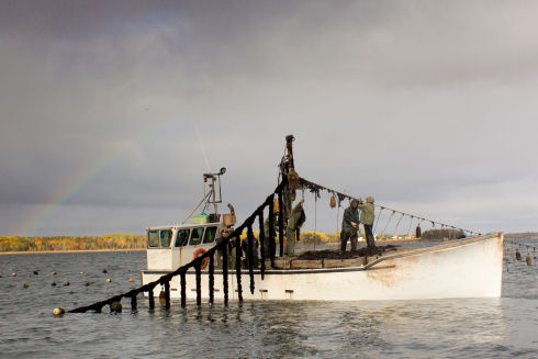 Fishing boat hauing in nussel seed collectors full of mussels