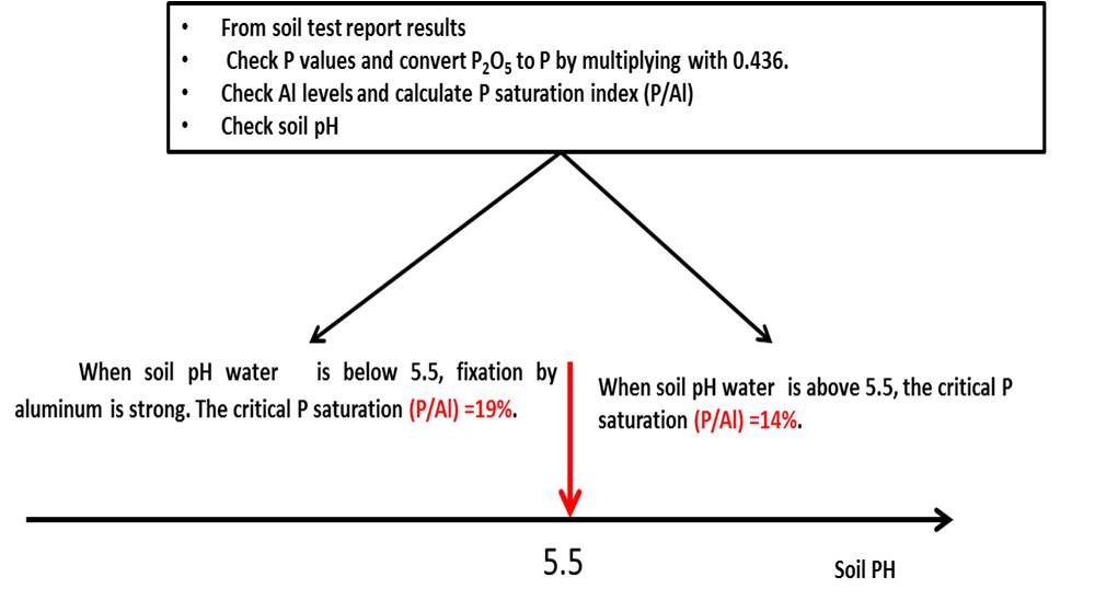 Diagram showing how to calculate P saturation index from soil test reports