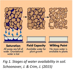 Stages of water availability in soil