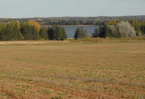 Buffer zone along waterway - ALUS PEI project 
