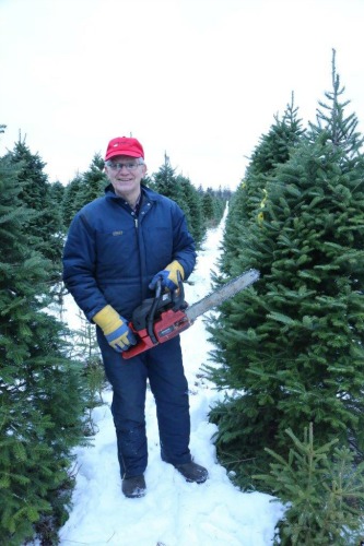 Christmas tree grower David Smith stands in a field of trees holding a chain saw. 