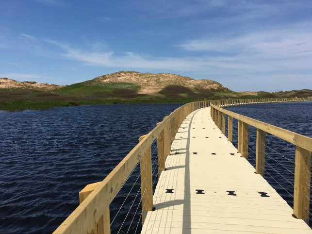 This is a photo of the floating boardwalk at Greenwich National Park in PEI