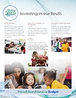 cover of investing in our youth document