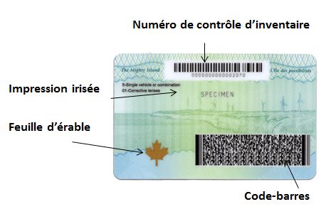 New photo ID card with security features labelled as follows: inventory control number; identity barcode; Maple leaf and rainbow printing