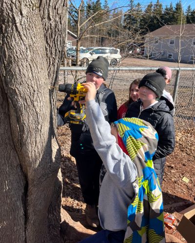 image of some young students tapping a maple tree