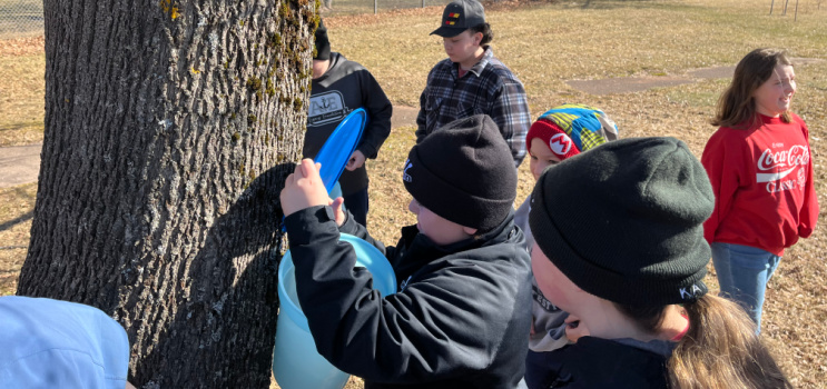 image of some young students tapping a maple tree