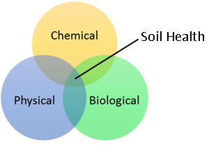 A graphic of three overlapping circles that illustrates that soil health focuses on three primary soil properties including the physical, chemical, and biological components and how they affect plant productivity. 