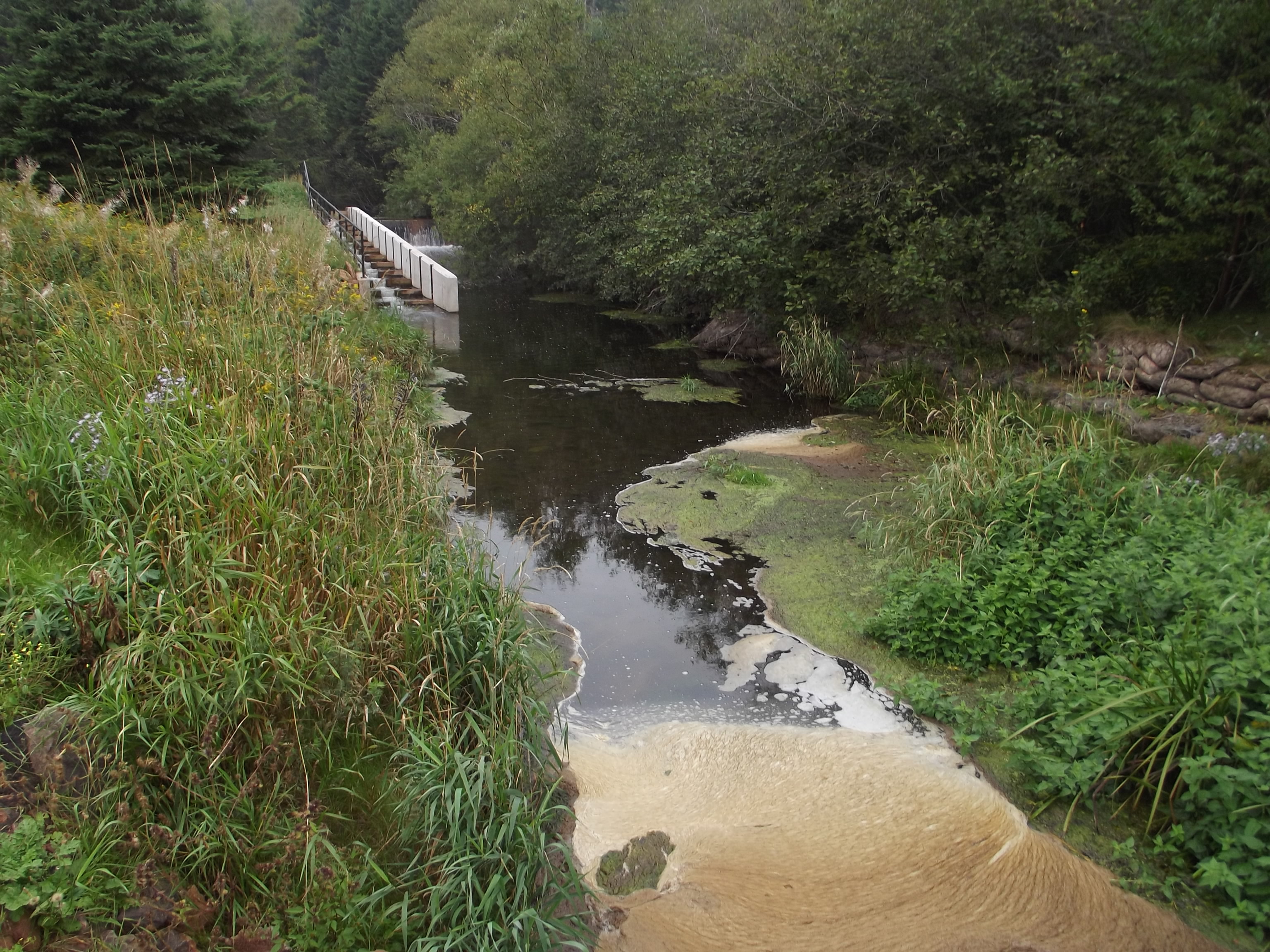 Foam in slow moving area below a culvert