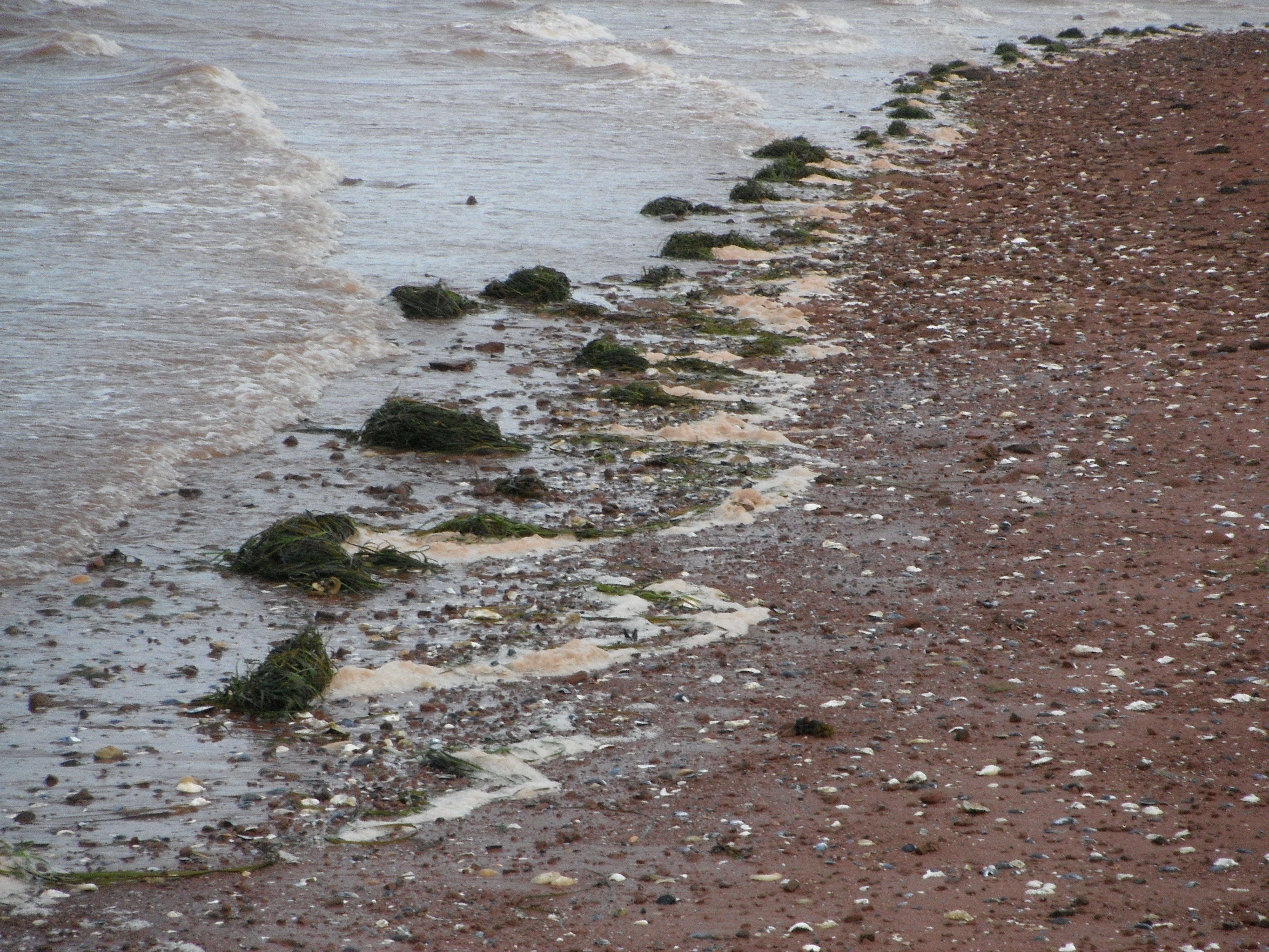 Photo of foam on the shoreline