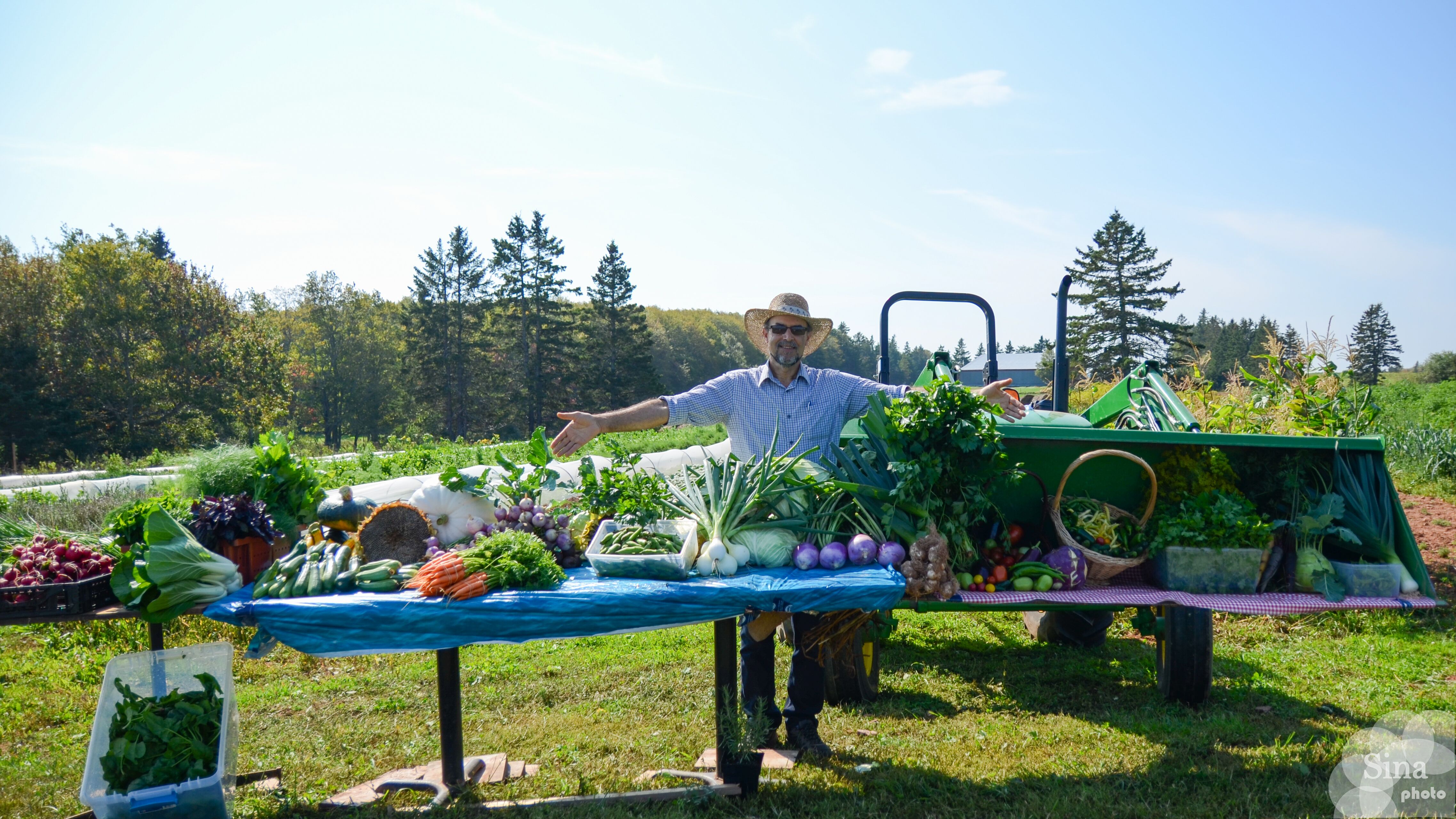 A-Ok farm Farmer with display of produce