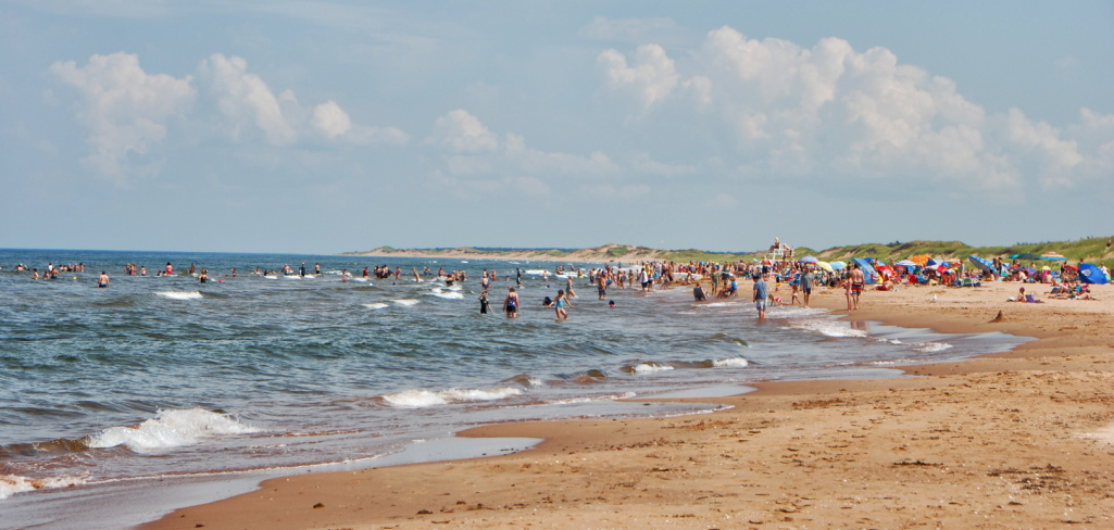 image of a beach with a people on it.