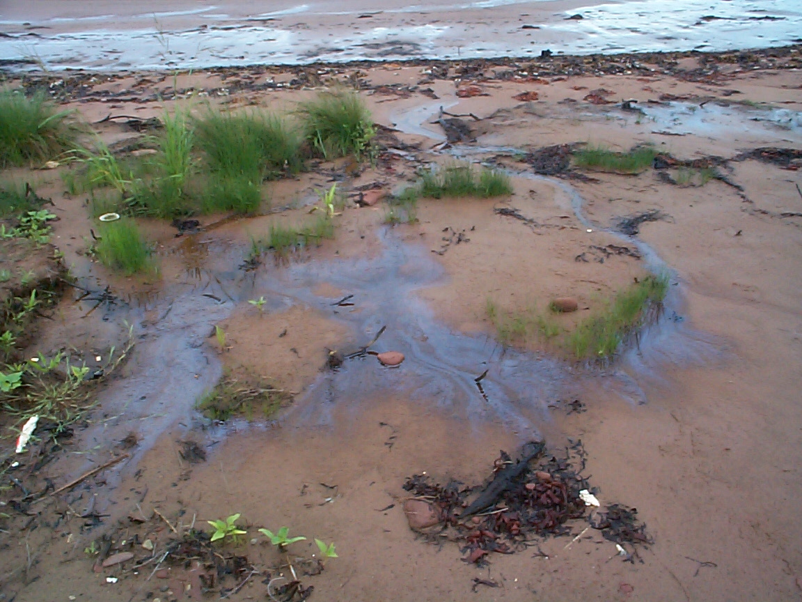 Oily sheen on the shoreline