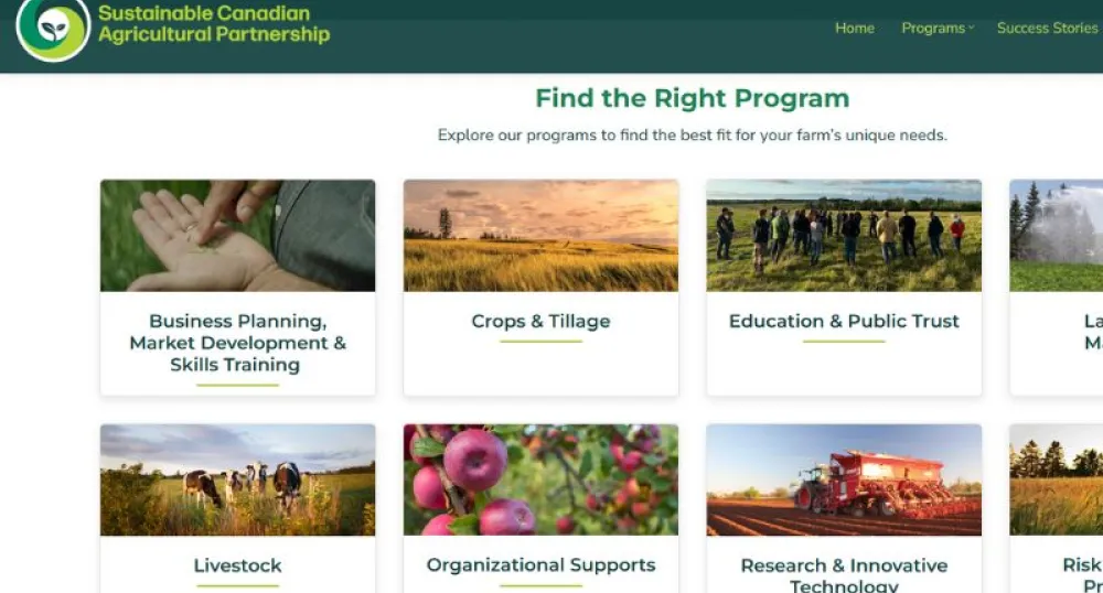 A screenshot of the website