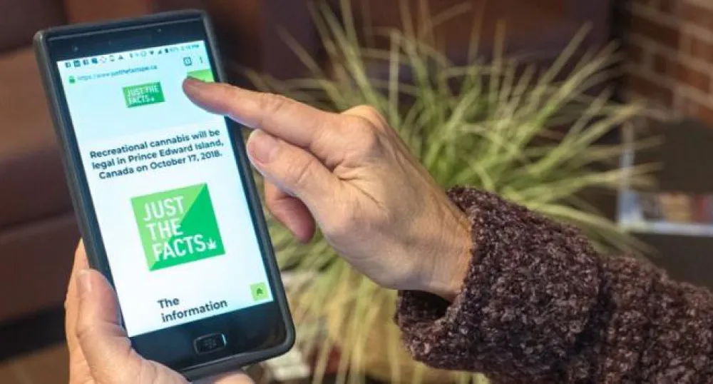 Woman holding mobile photo that is displaying the JUST THE FACTS PEI cannabis website