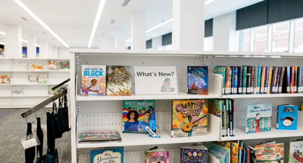 Library shelves with books