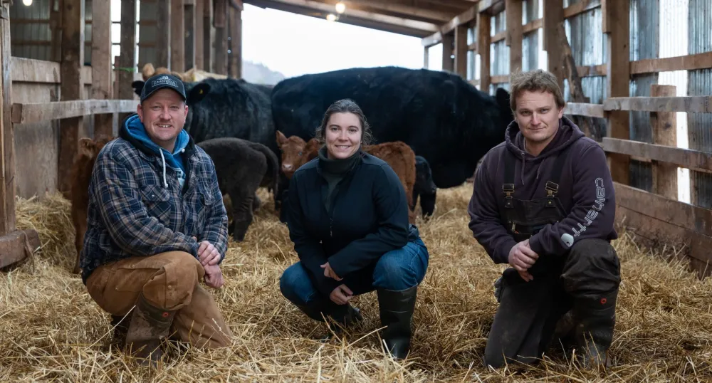Deux hommes et une femme sont accroupis dans une grange avec des vaches derrière eux.
