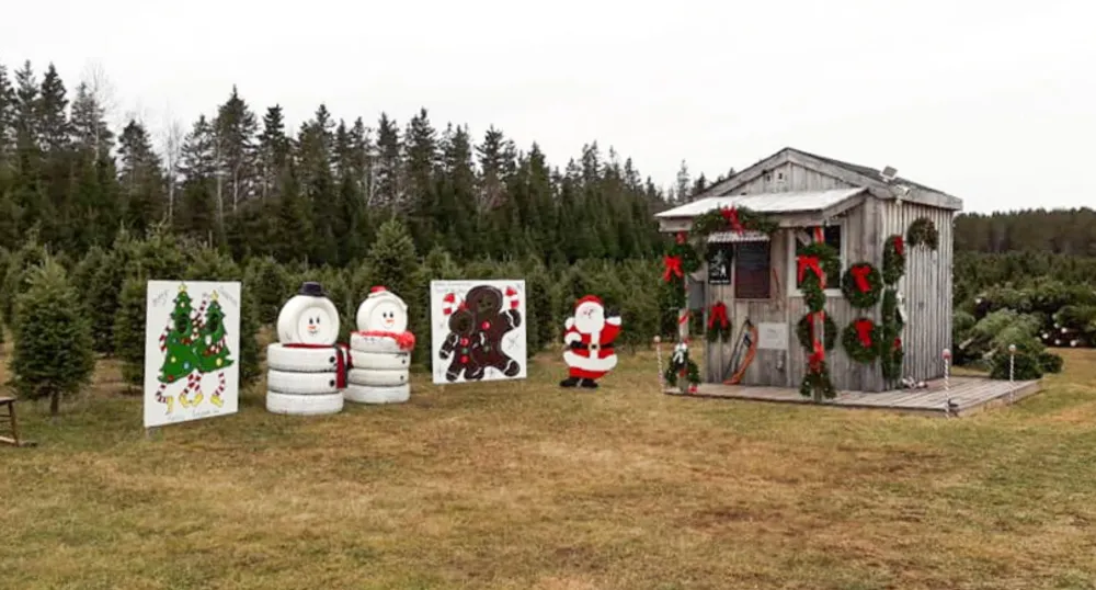 Some Christmas themed signs with trees in the background.