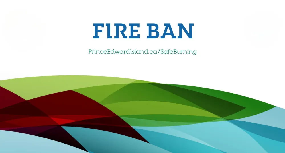 A fire pan poster with blue, green and sandstone colors.