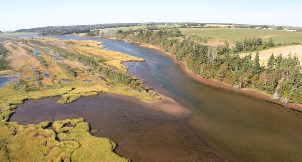 An aerial view of the Basin Head Marine Protected Area.