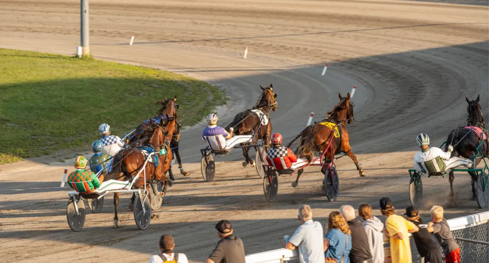 Quatre chevaux et des coureurs de trot attelé courent autour de la piste à l'Exposition de Charlottetown.