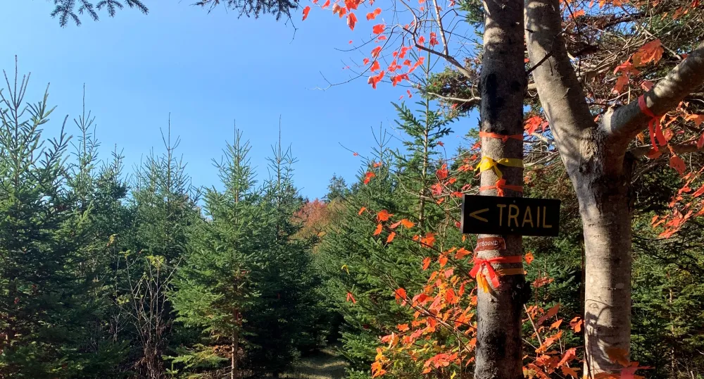 Brookvale Demonstration Woodlot Trail