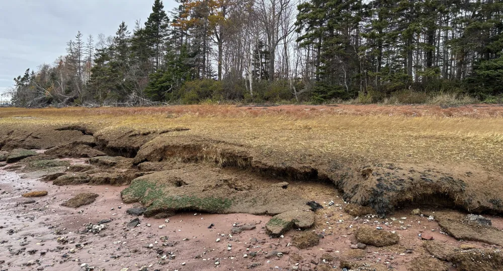 Image of coastline along Murchison Lane trail 