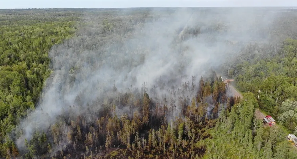 Forest fires burning