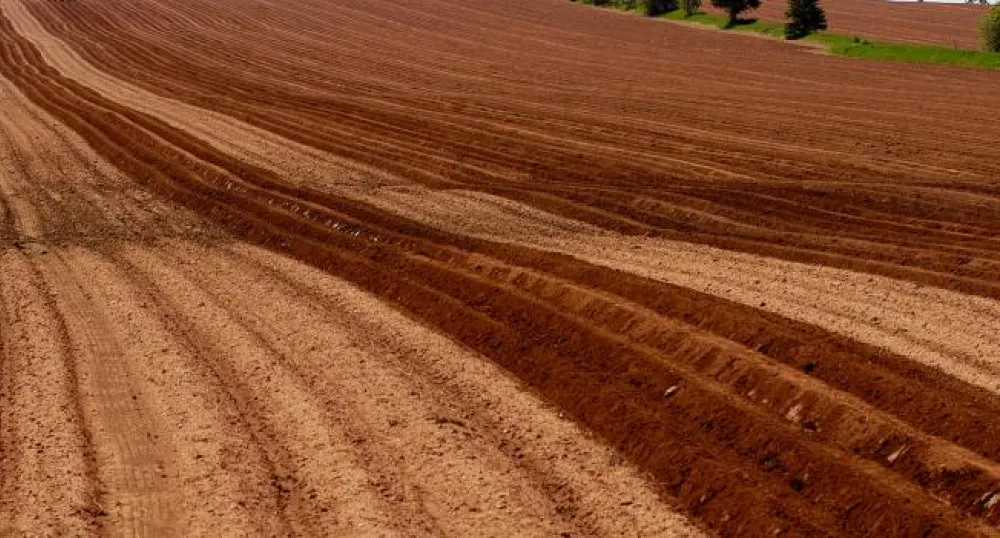 Photo d'un champ labouré au sol rouge