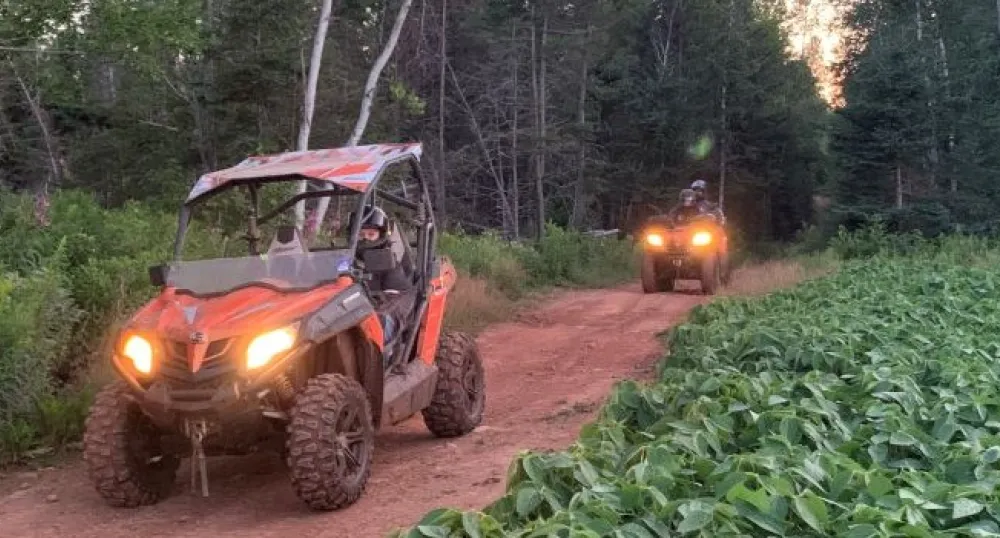 un côte à côte et un véhicule à quatre roues sur un sentier en bord de forêt