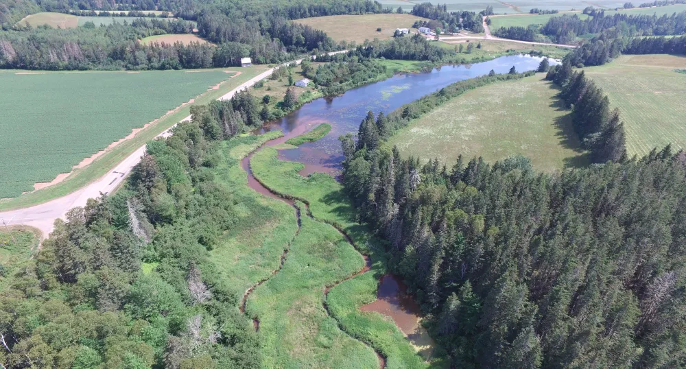 Buffer Zone on PEI