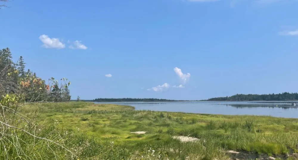 image of a an estuary