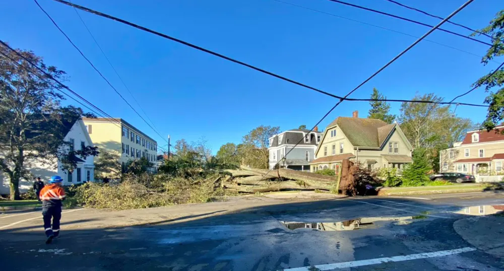 street with power lines down
