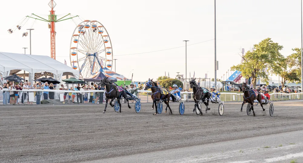 image de chevaux de course sous harnais en pleine course avec un milieu en arrière-plan