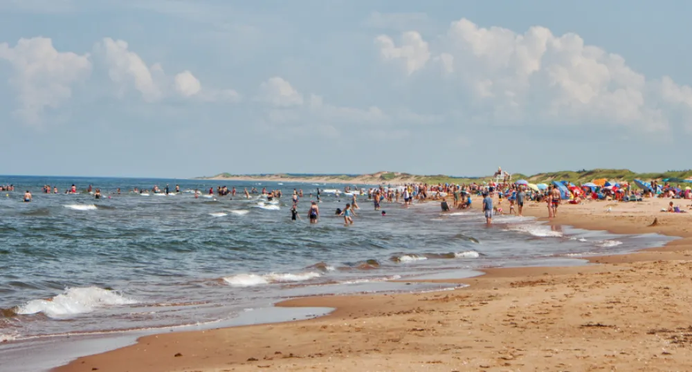 image of a beach with a people on it.