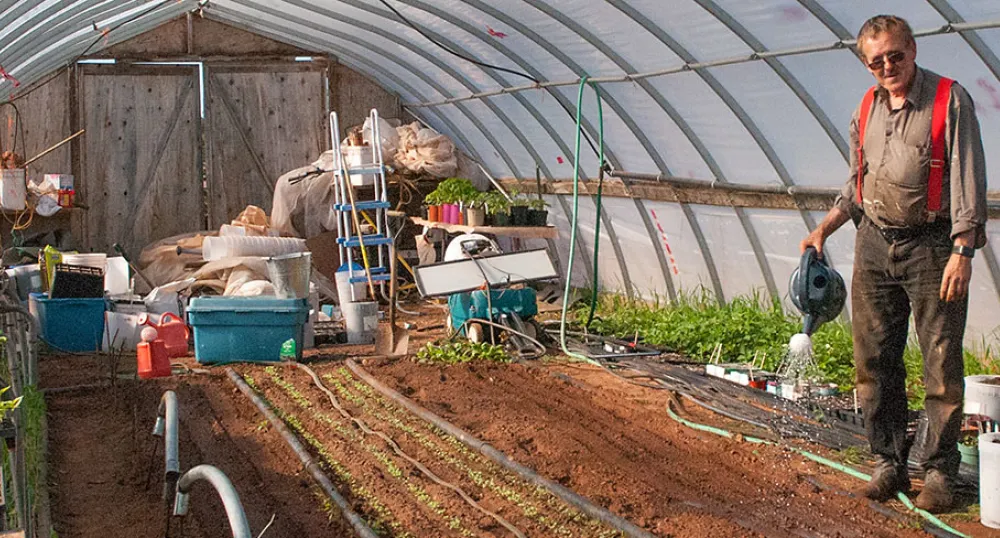 Sandy MacKay waters plants in his greenhouse