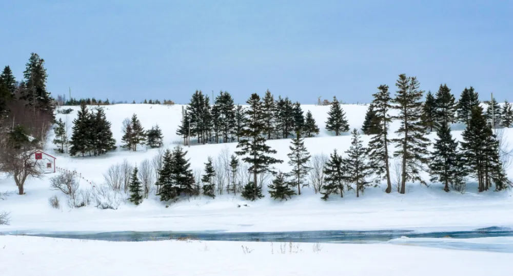 image of a snowy field with trees and a snow covered river