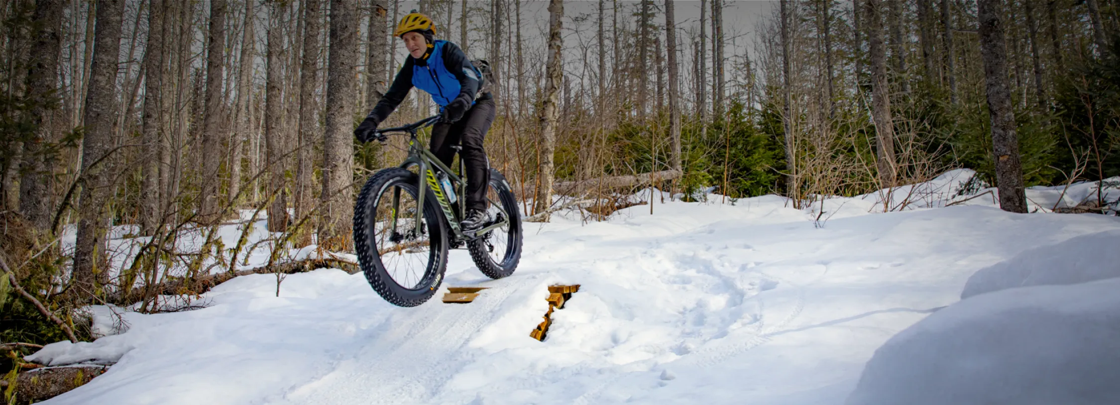 Une personne faisant du vélo de montagne à pneus surdimensionnés sur un sentier enneigé en forê.