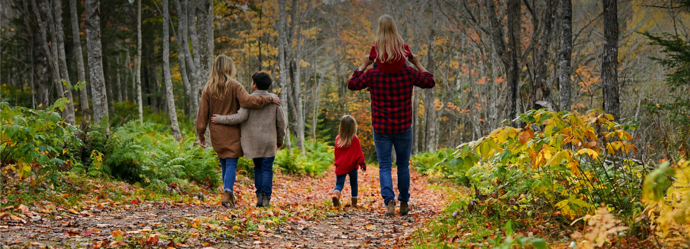 photo of a family walking through a fall forest path 