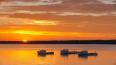 image of fishing boats moored in a harbour during sunset