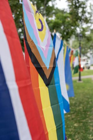 multicultural flags hanging in a park