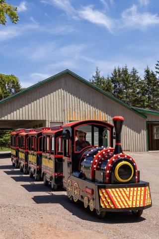 The red, yellow and black mini train driving out of the old train station.