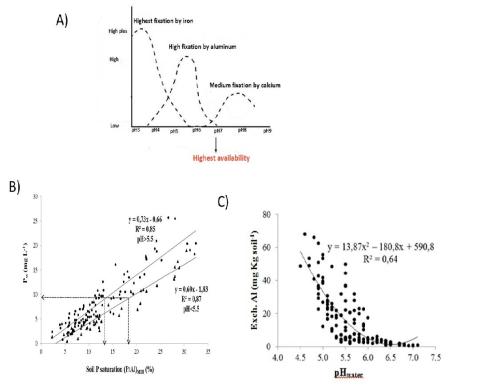 Graphs showing P saturation and fixation levels in soil Three graphs showing P fixation, P saturation and exchangeable Al levels in soils.