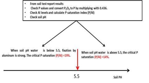 Steps to calculate P saturation index from soil test report results Diagram showing how to calculate P saturation index from soil test reports