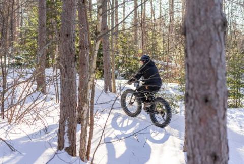 image of a person riding a fat bike on a wintery forest trail