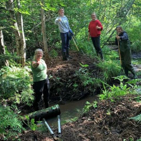 image of a group of people giving thumbs up while working in a forested area