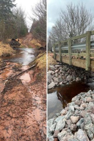 image of a before and after photo of upgraded fish extension