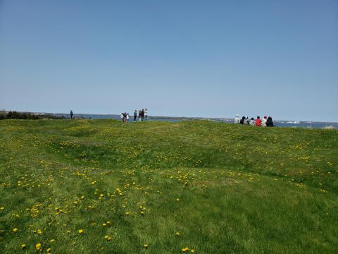 image of a group of people standing at the end of a lane near the water