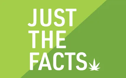 Just The Facts Logo