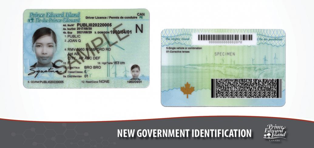 Photos shows the new driver's licence design