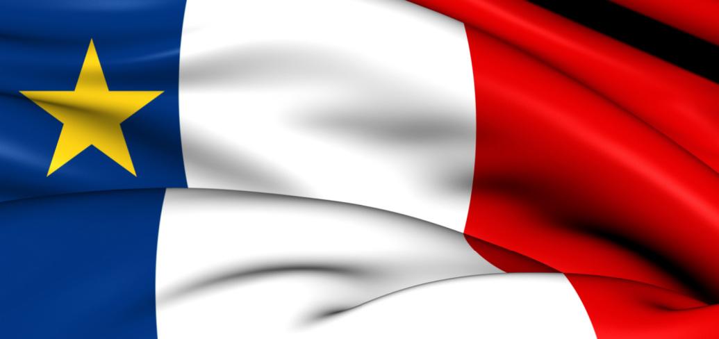 image of Acadian flag
